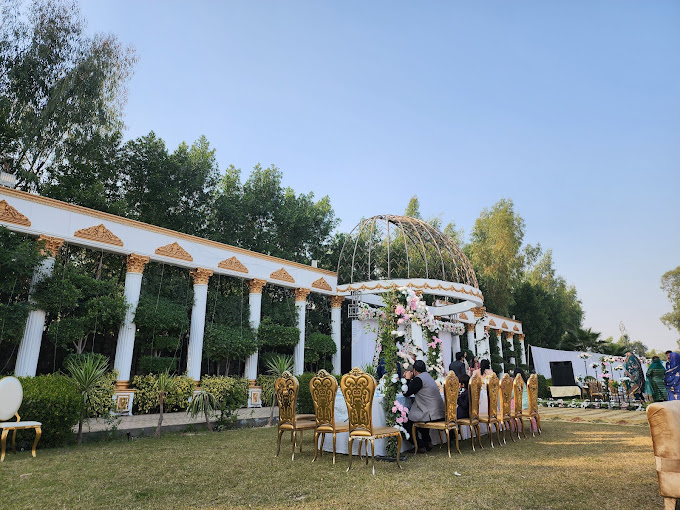 Branch Image