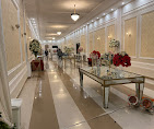 Branch Image