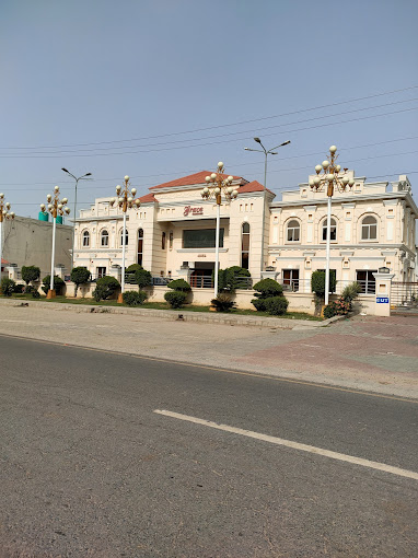 Branch Image