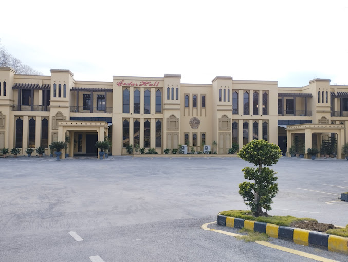 Branch Image