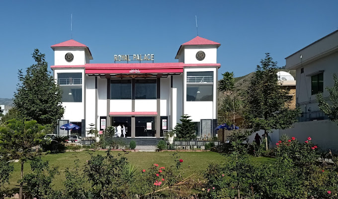 Branch Image