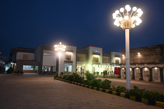 Branch Image