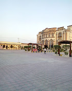 Branch Image