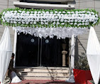 Branch Image