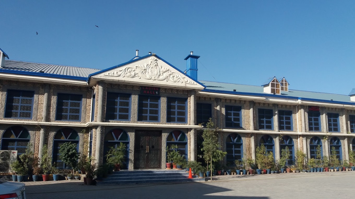 Branch Image