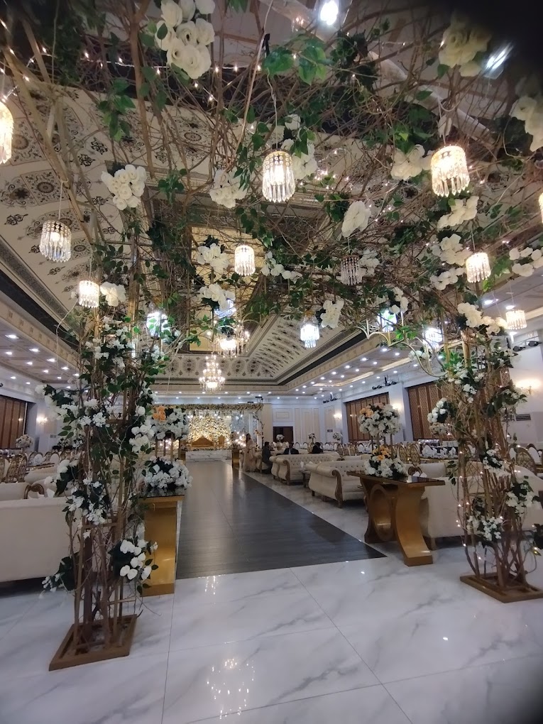 Branch Image