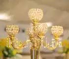 Image of wedding Marquee